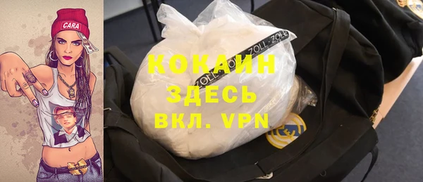 твердый Дмитровск