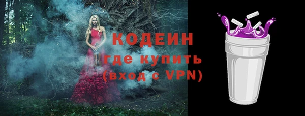 твердый Дмитровск