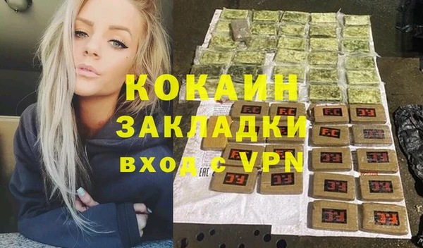 твердый Дмитровск