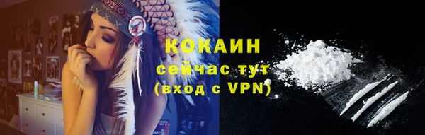 гашик Дмитриев