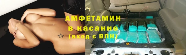 твердый Дмитровск