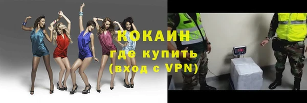 твердый Дмитровск