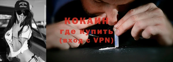 твердый Дмитровск
