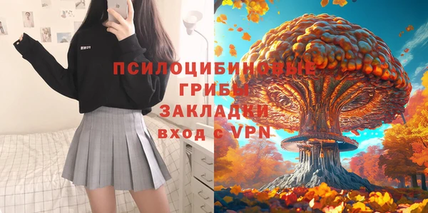 гашик Дмитриев