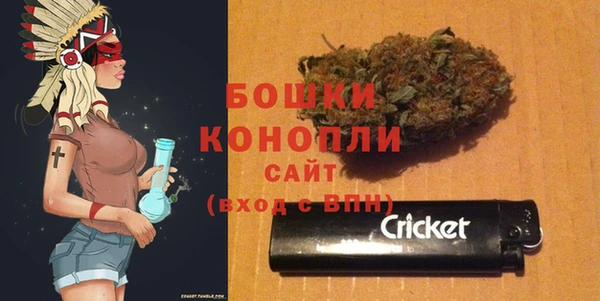 PSILOCYBIN Дмитров