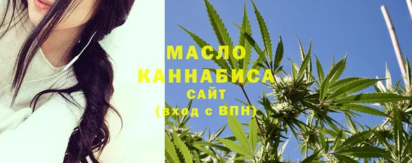 гашик Дмитриев