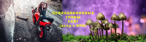 твердый Дмитровск